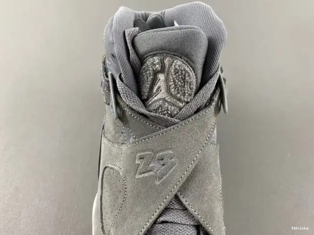Reps TBK Jordan Retro Cool Grey 8 305381-014 0524
